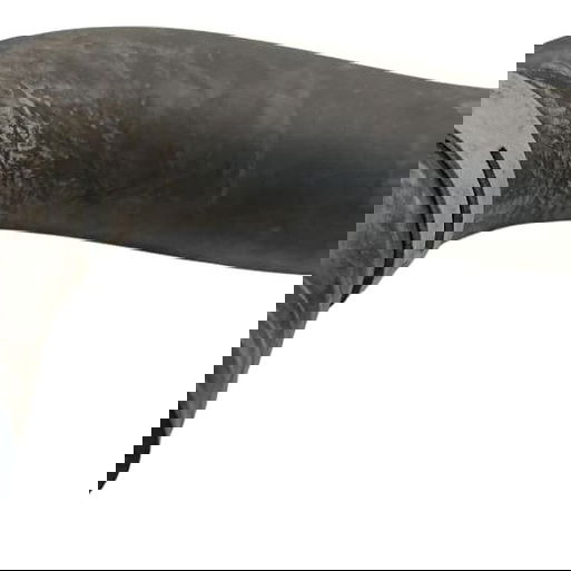 Mangueira Radiador Honda Hrv 1.5 2020