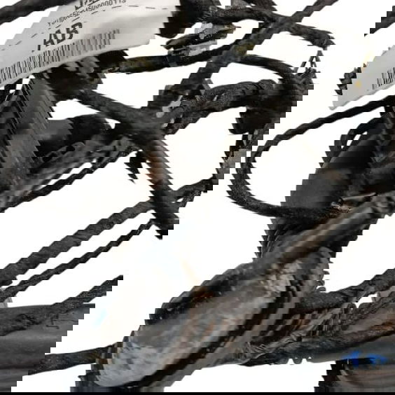 Chicote Porta Traseiro Direito Ford Maverick 2024