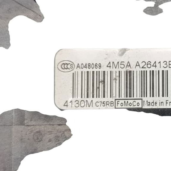 Fechadura Traseira Esquerda Ford Focus 2005