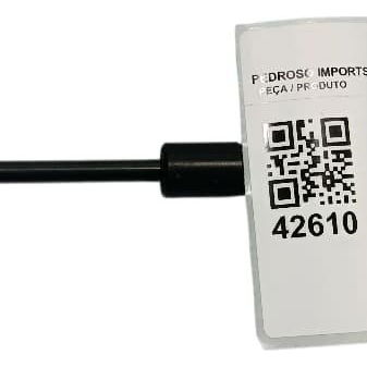 Amortecedor Capo Dianteiro Land Rover Evoque 2018