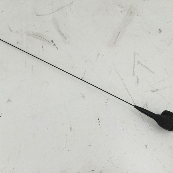Antena De Radio Duster 2013