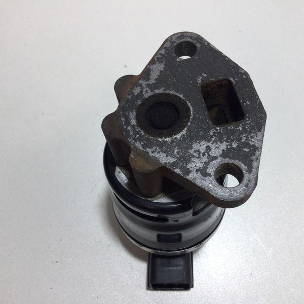 Valvula Egr Fit Lxl 2007