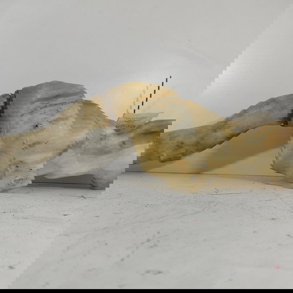 Reservatório Agua Parabrisa Fiat Toro Renegade