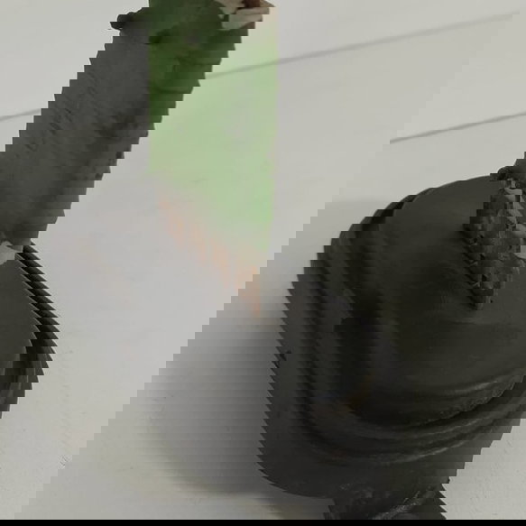 Resistencia Ventilação Onix 2017 2019 2022