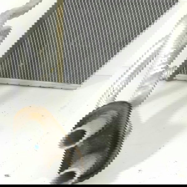 Radiador Ar Quente Honda Hrv 2016 2017 2018 2020 2021