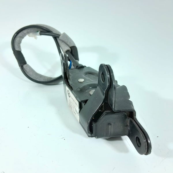 Fechadura Tampa Traseira Bmw X5 X6 Direita 14/19 51247351058