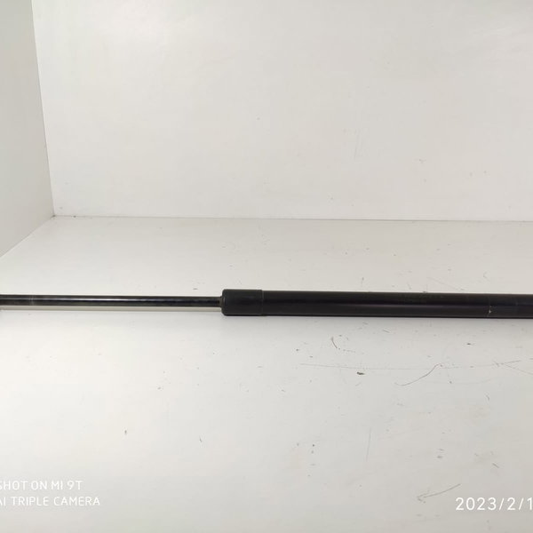 Amortecedor Tampa Traseira Edge 2008/2014 Original