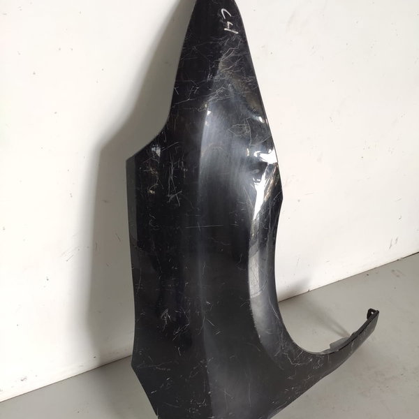 Paralama C4 Pallas 2008 2009 2010 2011 2012 Detalhe