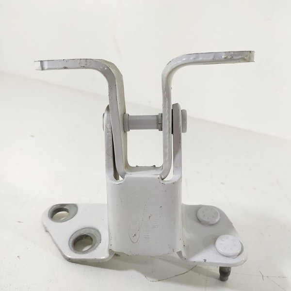 Dobradiça Tampa Traseira Ford Ecosport 2013/2021