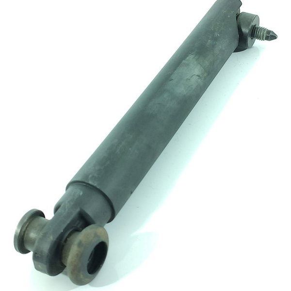 Amortecedor Tampa Traseira Inf Bmw X5 2013/2020 737176501