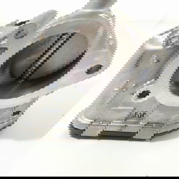 Tbi Corpo Borboleta Cactus 2018/2024 0280750085