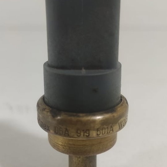 Sensor Temperatura Água Audi Q5 2017/2023 06a919501a