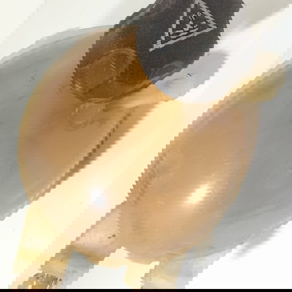 Reservatório Agua Radiado Peugeot 208 2014/2019 980077728001