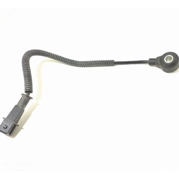 Sensor Detonação Renegade Toro 2016/2021 Original Det