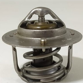 Valvula Termostatica Jac T40 1.6 2019 Original