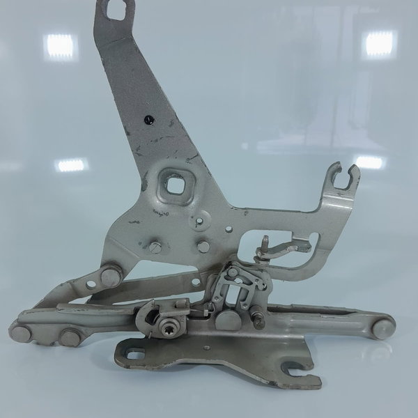 Braco Dobradica Capo Bmw X5 Direita 2015/2020 7294530