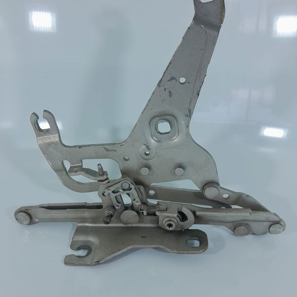 Braco Dobradica Capo Bmw X5 Esquerda 2015/2020 7294529