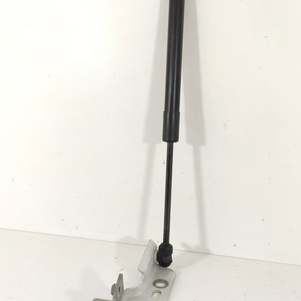 Amortecedor Suporte Capo Discovery Sport 2018 Fk7216c826