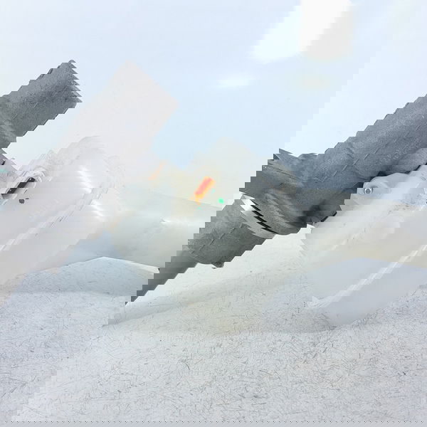 Cilindro Mestre Reservatorio Ford Territory 2021/2025