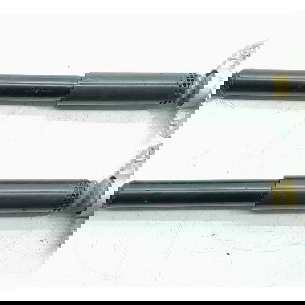 Par Amortecedor Ford Territory Traseiro 2021/2025 Ns118097ac