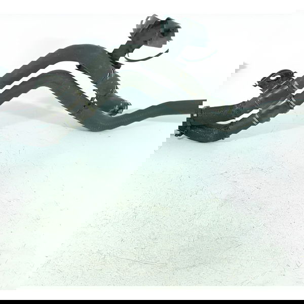 Mangueira Arrefecimento Motor Territory 1.5 21/25 Ns117h189