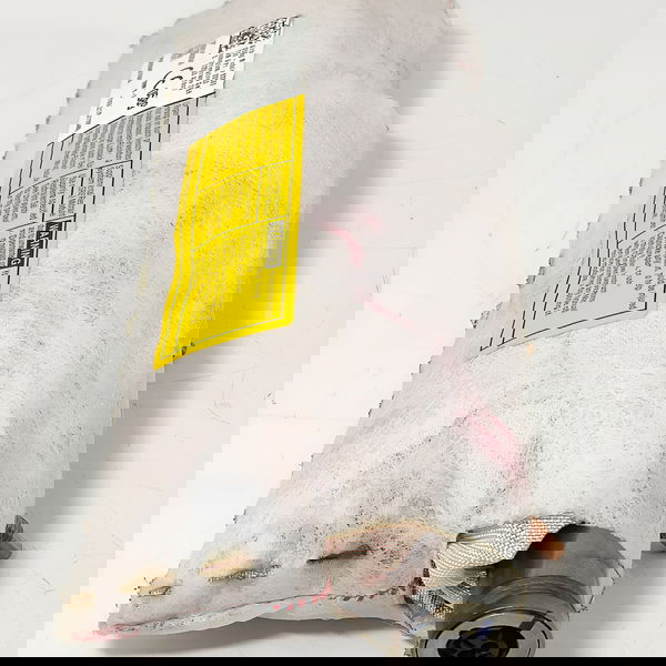 Bolsa Banco Jeep Compass Direito 2017/2023 Original