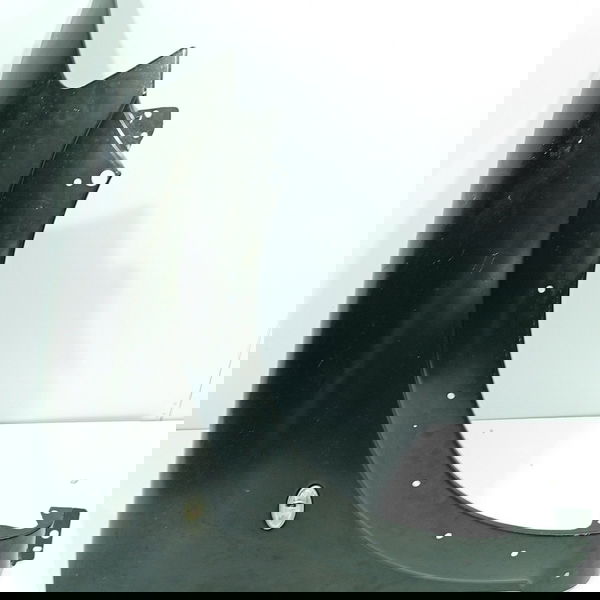 Paralama Citroen C3 Direito 2004/2010