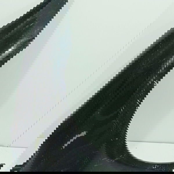 Paralama Direito C4 Pallas 2008/2011