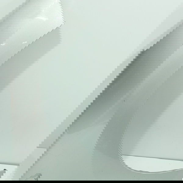 Paralama C4 Pallas Direito 2008/2012