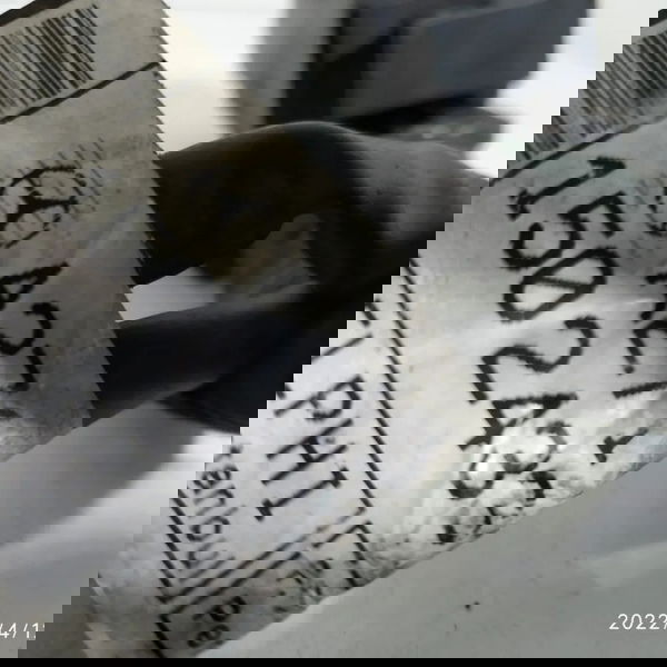 Chicote Injeção Motor Mercedes Clc200 C180 C200 2008/2011