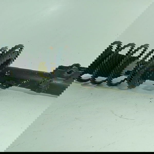 Amortecedor Mola Ecosport Dianteiro Esquerdo 2013/2017