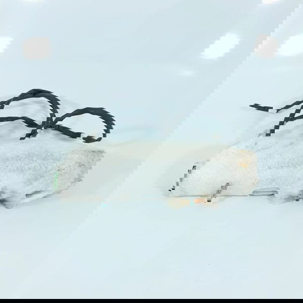 Bolsa Banco Captiva Direito 2008/2016 96853699 Bege