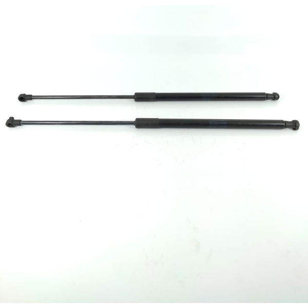 Par Amortecedor Tampa Traseira Cactus 9813913880