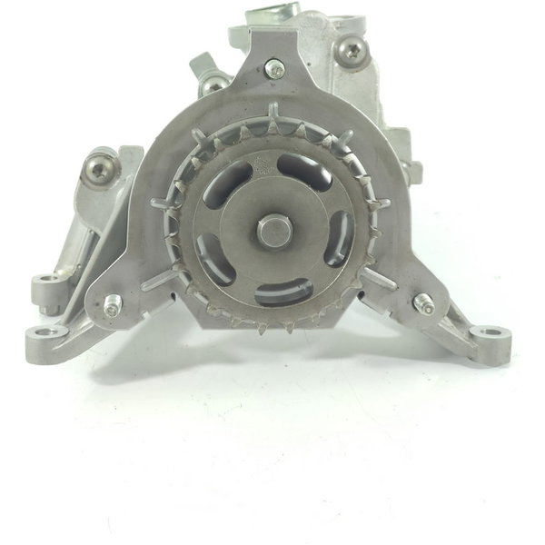 Bomba Oleo Cactus 2008 208 2018/2024 9674199380