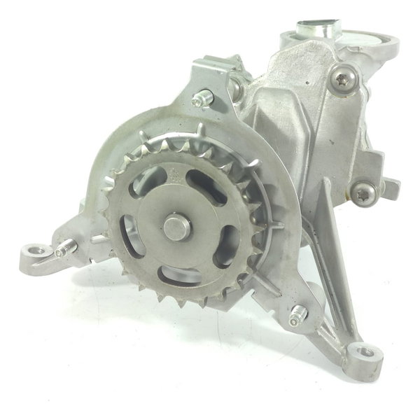 Bomba Oleo Cactus 2008 208 2018/2024 9674199380