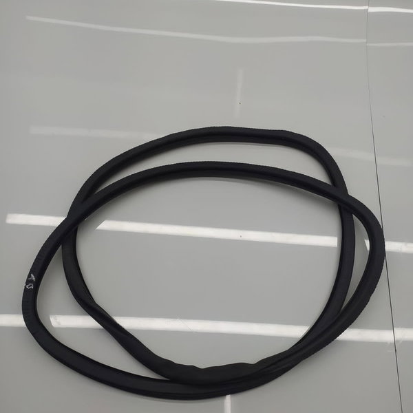 Borracha Porta Panamera Traseira D 2010/2019 Original /31321