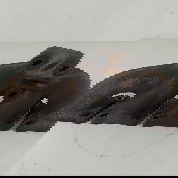 Coletor Escape Golf Audi A3 Tt Mk1 1.8 1998 A 2006 06a253033