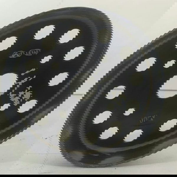 Polia Bomba Agua Hyundai Ix35 2011/2021