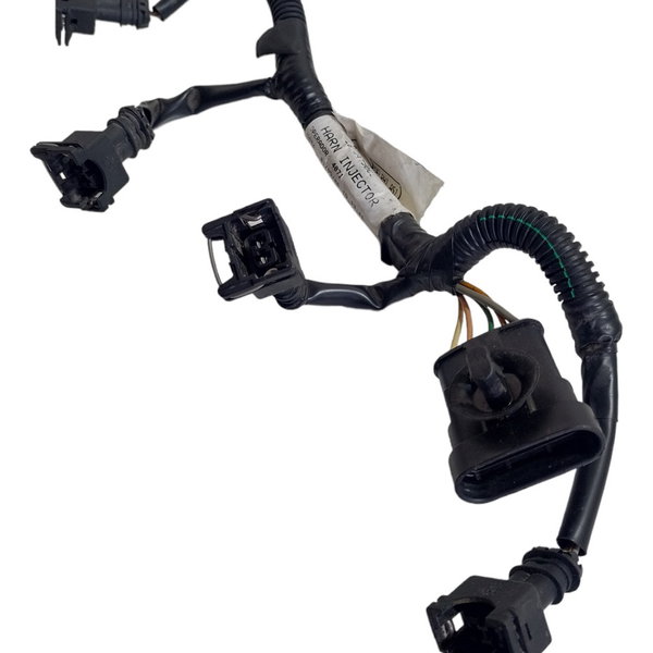 Chicote Injeção Flauta Renault Clio