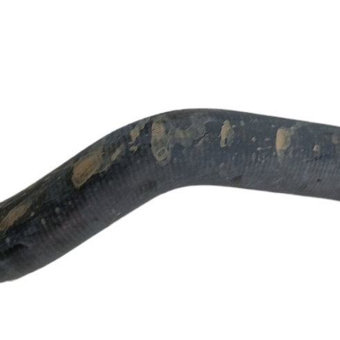 Mangueira Superior Radiador Renault Sandero 1.0 2016