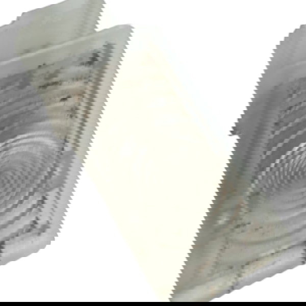 Luz Cortesia Porta Malas Gm Cruze 2019