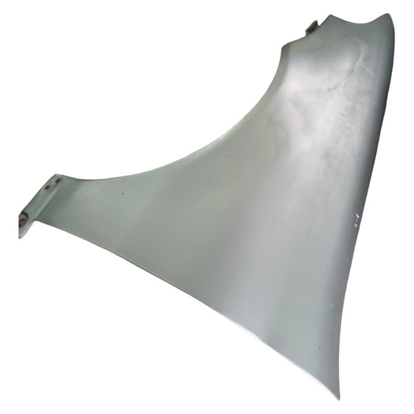 Paralama Dianteiro Esquerdo Fiat Palio 1.0 2001 2002 2003