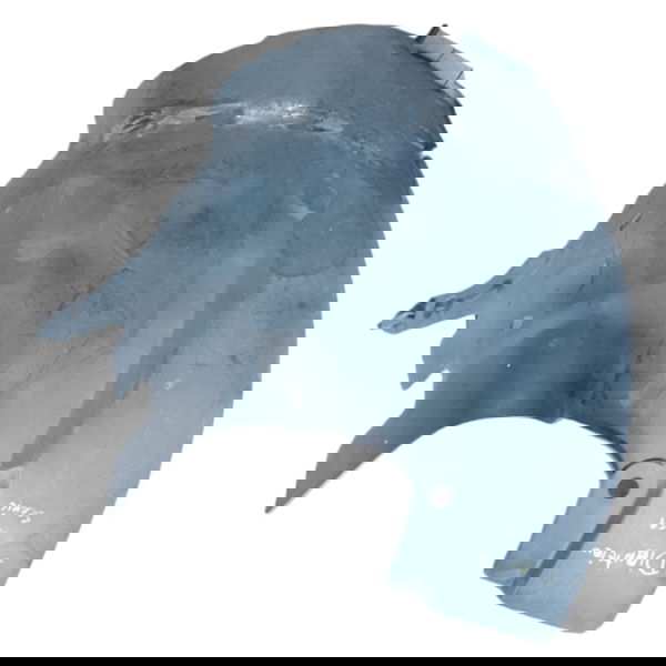 Parabarro Dianteiro Esquerdo Parte Traseira Renault Scenic