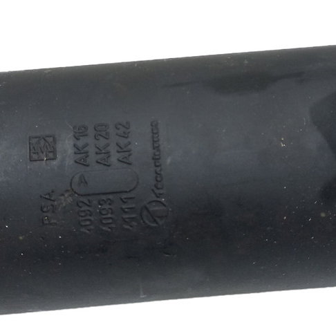 Filtro Canister Peugeot 206