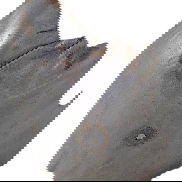 Defletor Protetor Calor Coletor Escape Citroen C4 2.0 2013