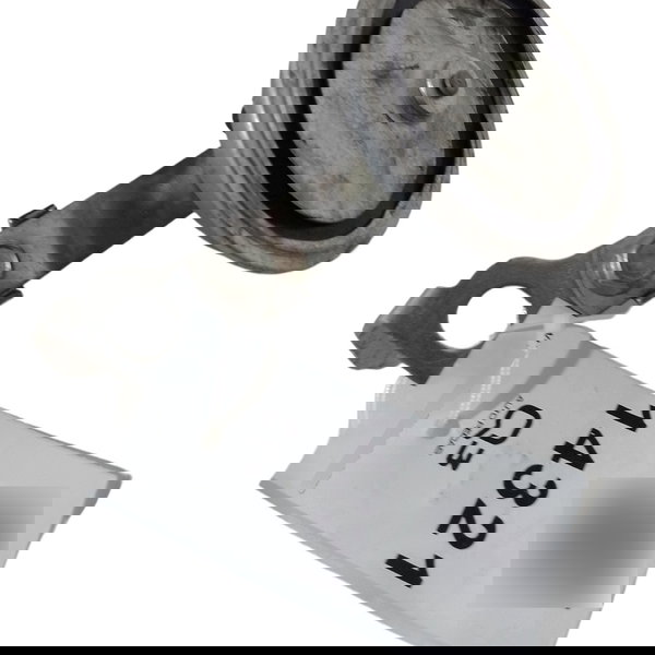 Buzina Sirene Alarme Citroen C4 Lounge 2.0 16v 2016 17 18