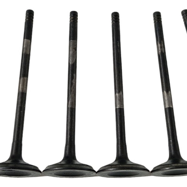 Válvulas Admissão Cabeçote Renault Kwid 2017 2018 2019 2020