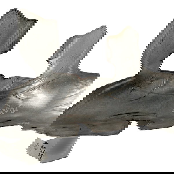 Defletor Protetor Calor Escape Peugeot 206 207 2003 04 05 06