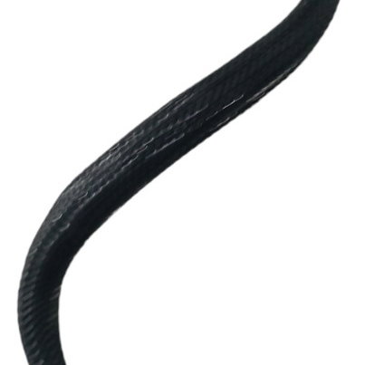 Mangueira Válvula Canister Renault Captur 1.6 2018 2019 2020