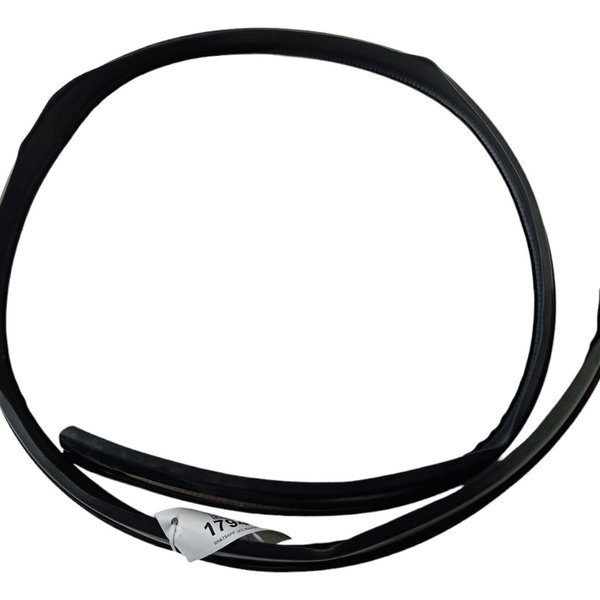 Borracha Teto Pingadeira Renault Sandero 2010 2011 2012